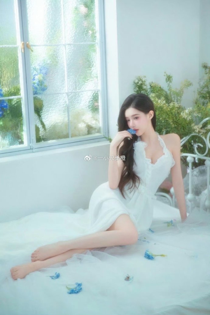 风骚律师 封面